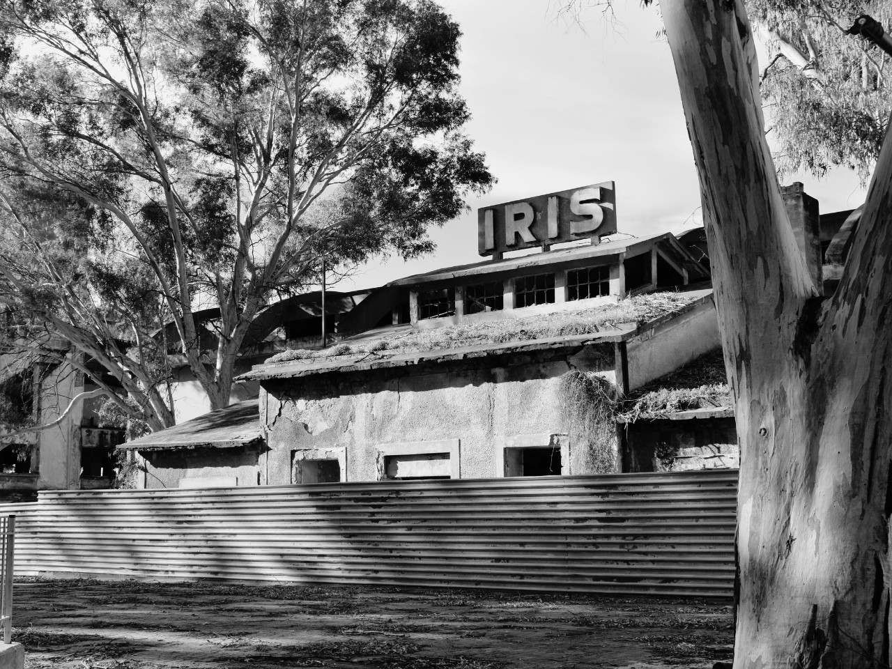 Η τρισδιάστατη αποτύπωση και η διάσωση της βιομηχανικής κληρονομιάς: το παράδειγμα της βιομηχανίας ΙΡΙΣ στην Ελευσίνα